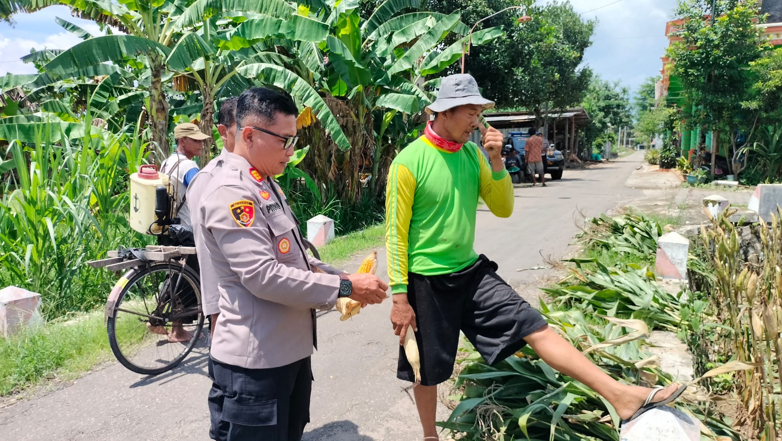 Polsek Slahung Dukung Ketahanan Pangan Laksanakan Sambang Dengan Pemilik Tanaman Jagung