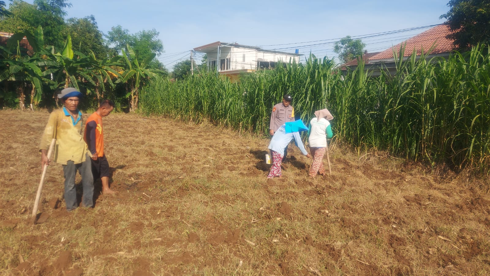 Polres Ponorogo Dukung Ketahanan Pangan, Bhabinkamtibmas Polsek Somoroto ikut Bantu menanam jagung di Desa Carat.