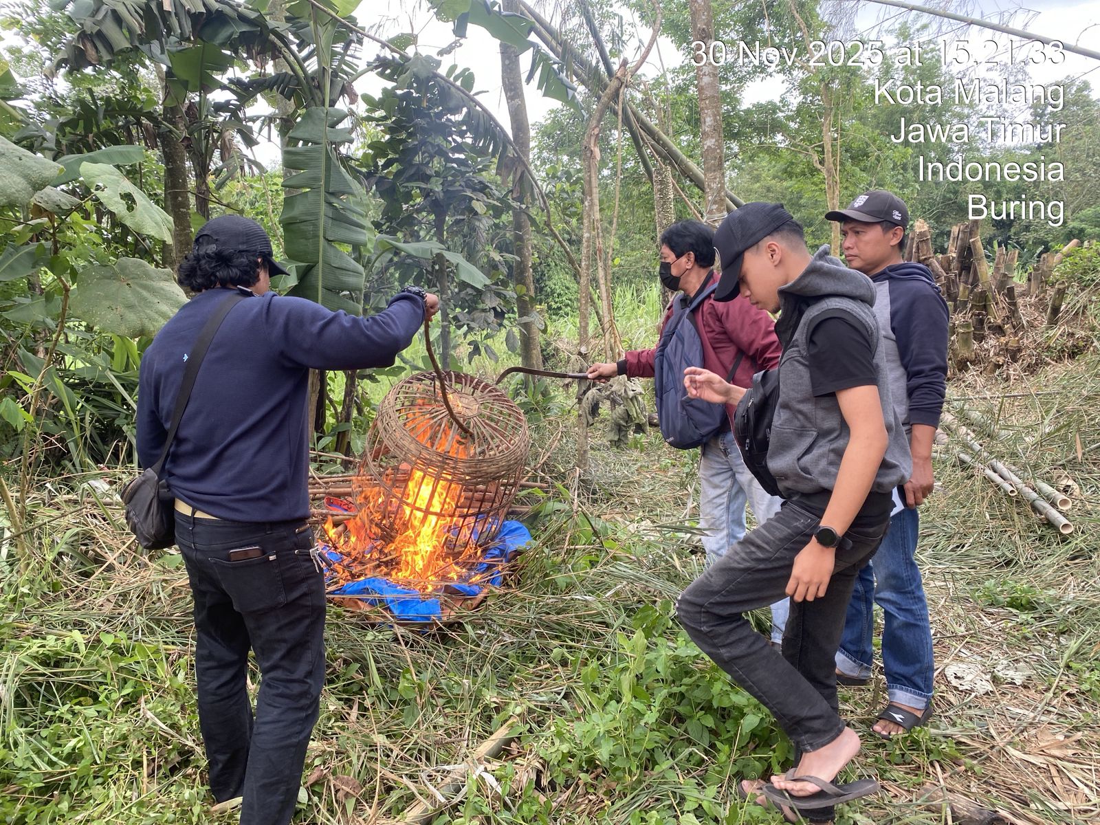 Polresta Malang Kota Bongkar Arena Judi Sabung Ayam