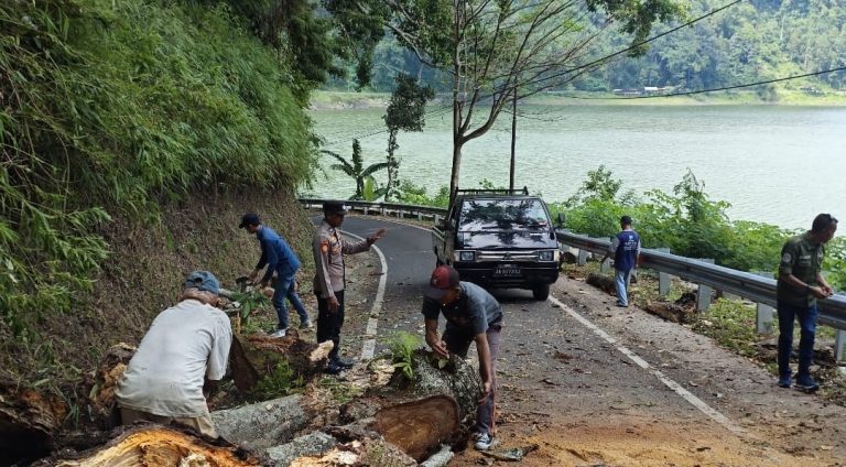 Personil Polsek Ngebel Sigap Tanggap Evakuasi Pohon Tumbang