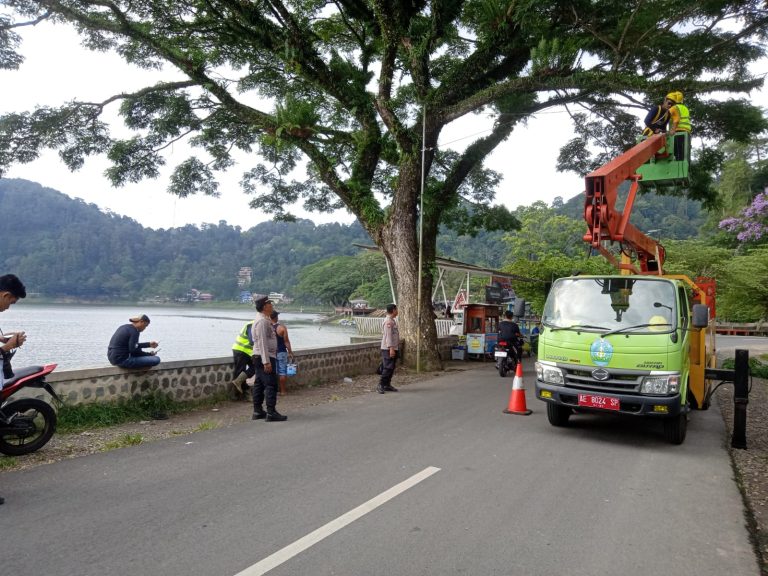 Pemangkasan Pohon/Ranting Lapuk di Lingkar Telaga Ngebel, Polsek Ngebel Lakukan Pengamanan