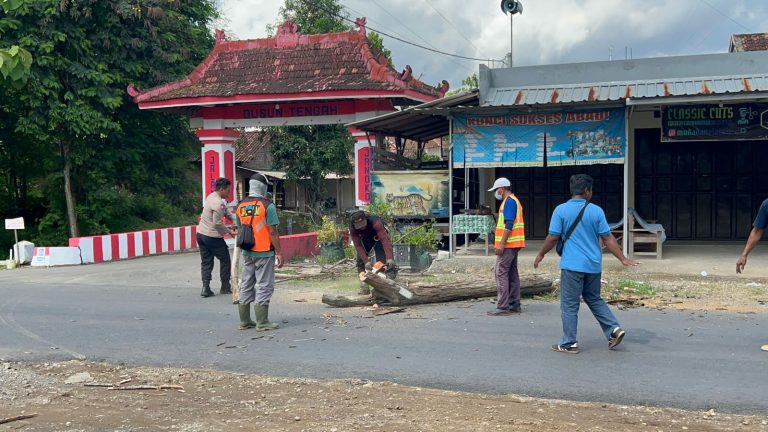 Antisipasi Pohon tumbang,Polri bersama instansi terkait laksanakan penebangan pohon lapuk di sepanjang jalan