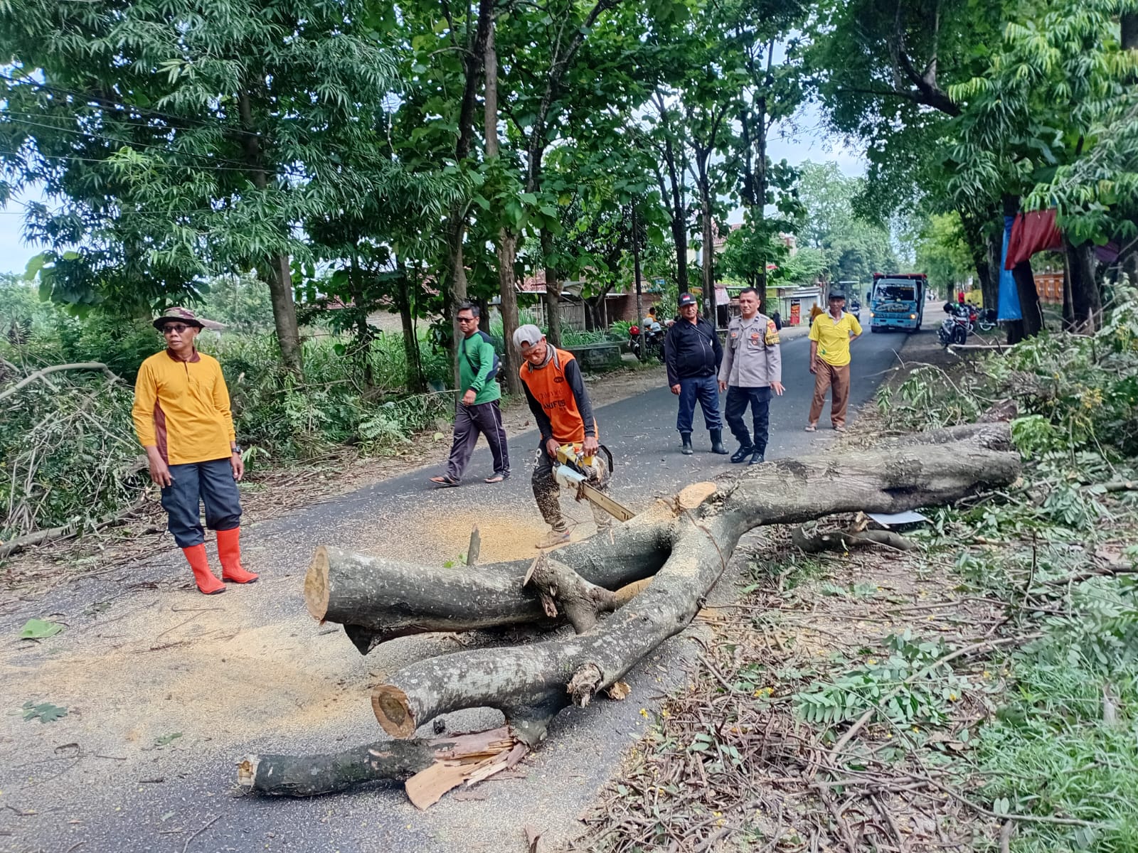 Polsek Bungkal Bersama Instansi Terkait Melaksanakan Pemangkasan Pohon Lapuk di Jalur Bungkal–Ngrayun