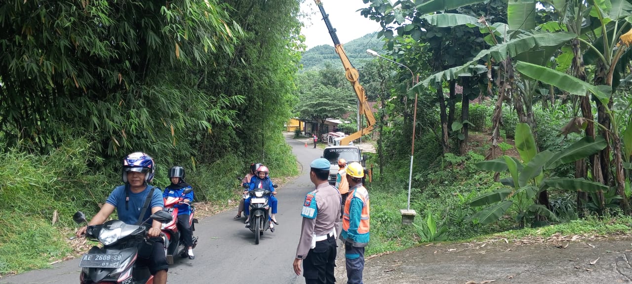 Personil Polsek Slahung Kawal Penebangan Pohon oleh Unit Dari PLN