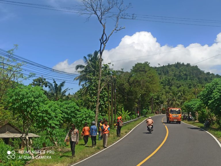 SIAGA BENCANA KECAMATAN SAWOO LAKSANAKAN PEMANGKASAN POHON RAWAN TUMBANG DI JALUR NASIONAL PONOROGO–TRENGGALEK
