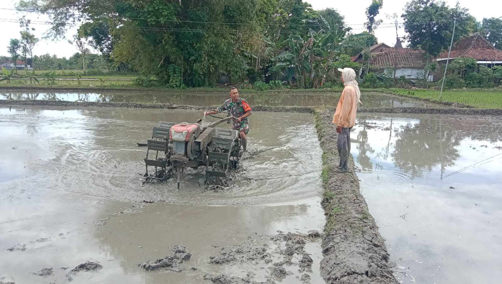 Pendampingan Petani, Babinsa Kodim Ponorogo Bantu Bajak Sawah