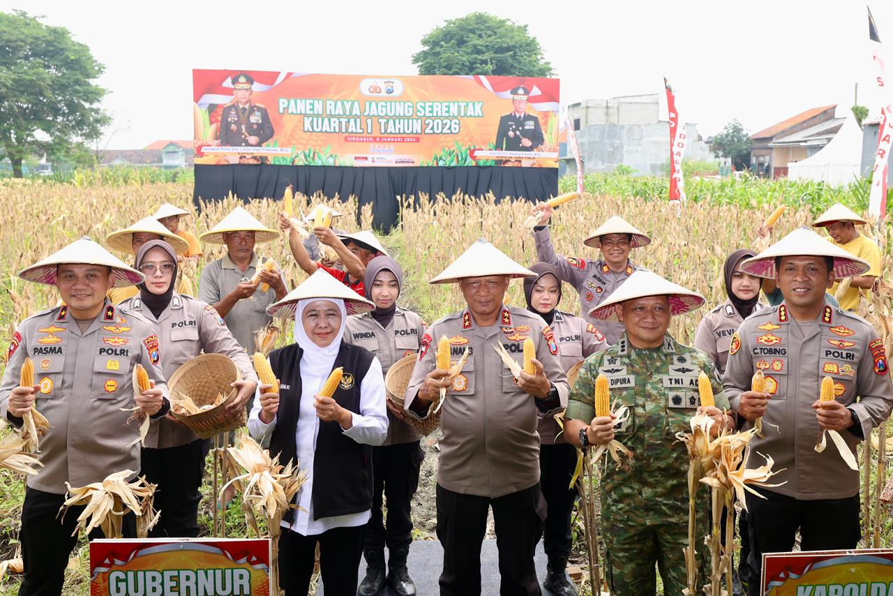 Polda Jatim Gelar Panen Raya Jagung Serentak Kuartal IV di Sidoarjo