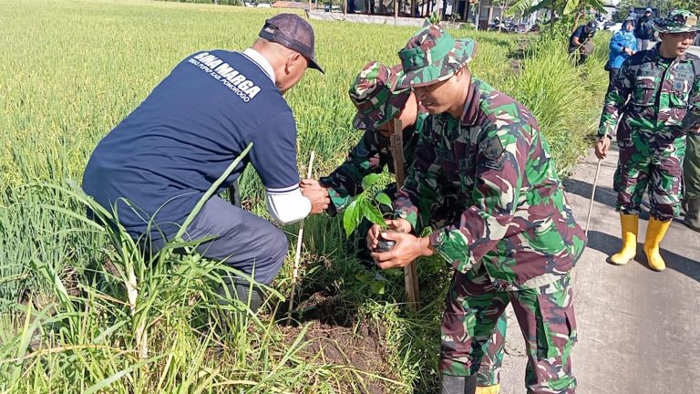 Hijaukan Lingkungan, Kodim Ponorogo Lakukan Tanam Anakan Bibit Pohon