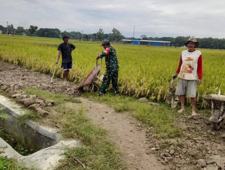 Warga Kerja Bakti Timbun Jalan, Babinsa Kodim Ponorogo Bantu