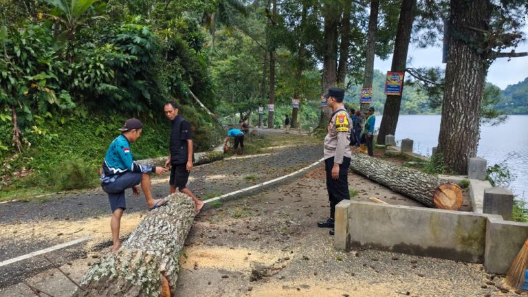 Polsek Ngebel Lakukan Pengamanan Pemangkasan Pohon Rawan Tumbang di Kecamatan Ngebel