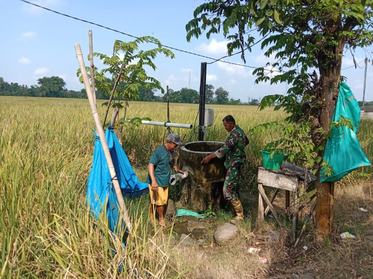 Pendampingan Petani oleh Babinsa Kodim Ponorogo Majukan Sektor Pertanian di Desa
