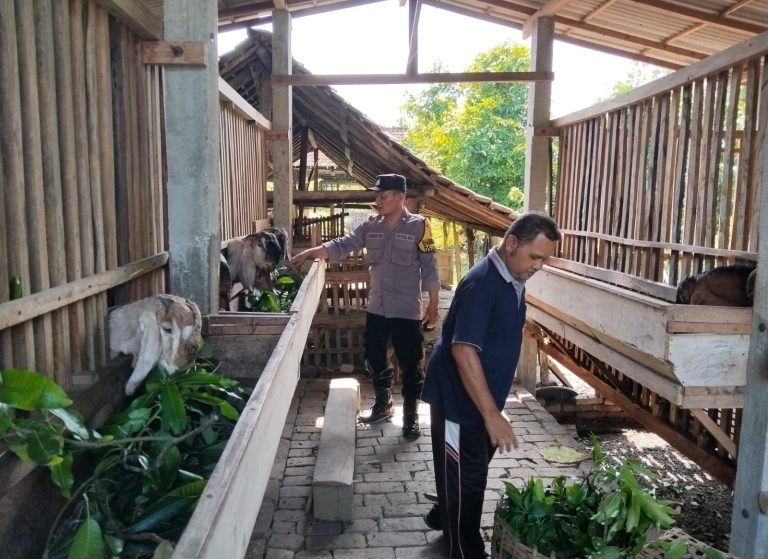 Judul: Peran Aktif Bhabinkamtibmas Polsek Sampung, Polres Ponorogo dalam Pembinaan Ternak di Carangrejo Kecamatan Sampung