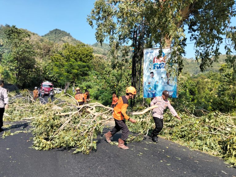 SATGAS TANGGAP BENCANA KECAMATAN SAWOO LAKSANAKAN PEMANGKASAN POHON RAWAN TUMBANG DI JALUR NASIONAL PONOROGO–TRENGGALEK
