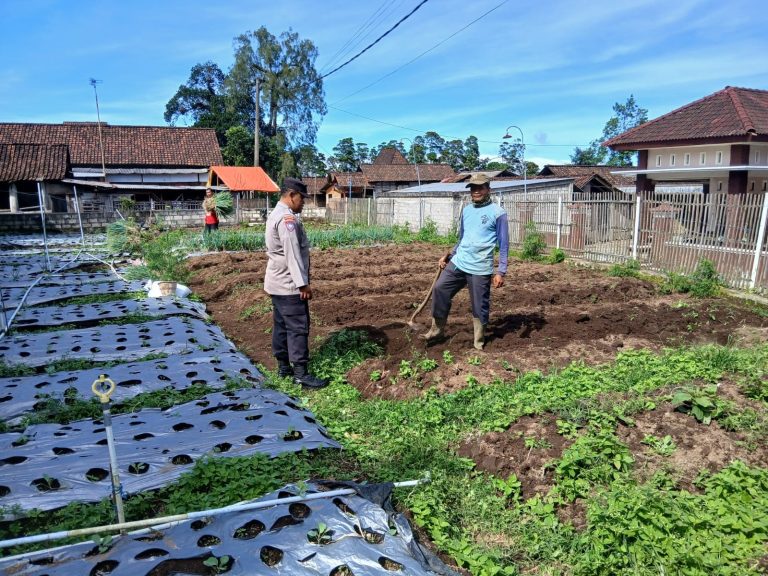 Bhabinkamtibmas Desa Pudak Kulon Sambangi Petani, Dukung Program Ketahanan Pangan Nasional