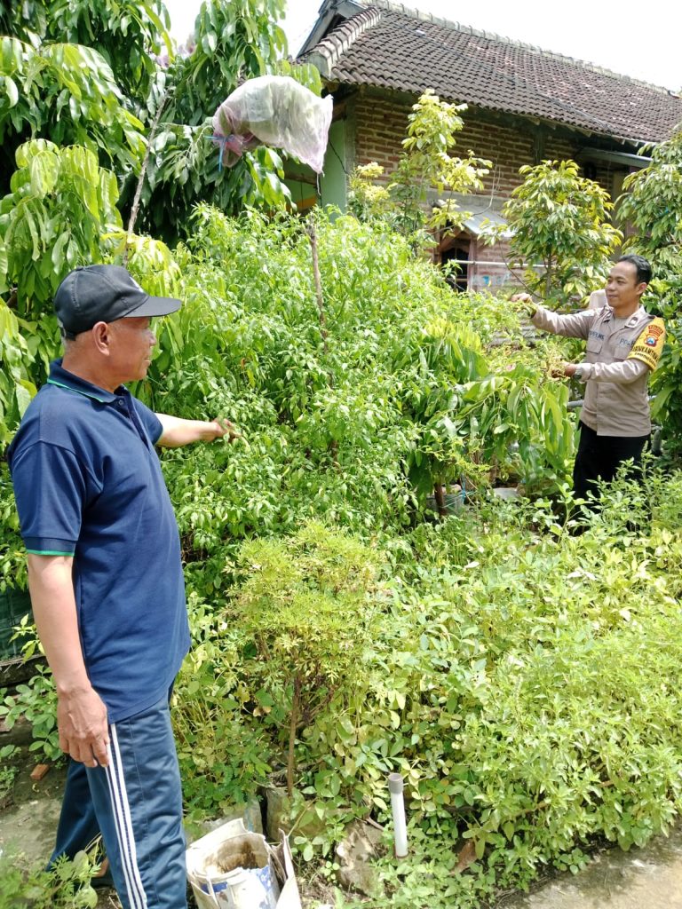 Bhabinkamtibmas Desa Grogol Sambangi Petani dan Monitor Ketahanan Pangan di Kecamatan Sawoo