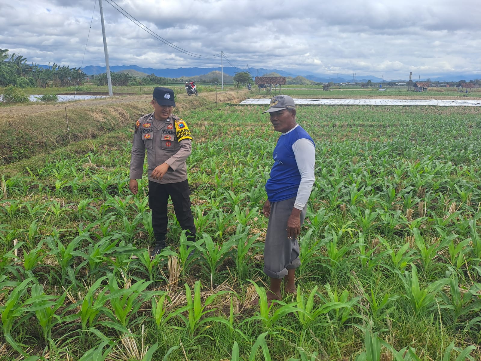 Bhabinkamtibmas Desa Grogol Monitoring Lahan Pertanian Jagung untuk Mendukung Ketahanan Pangan