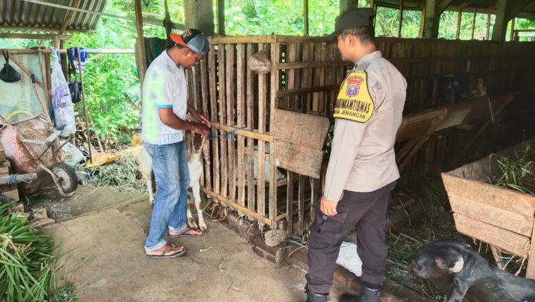 Bhabinkamtibmas Desa Jenangan Sambangi Peternak Kambing, Dukung Ketahanan Pangan Warga