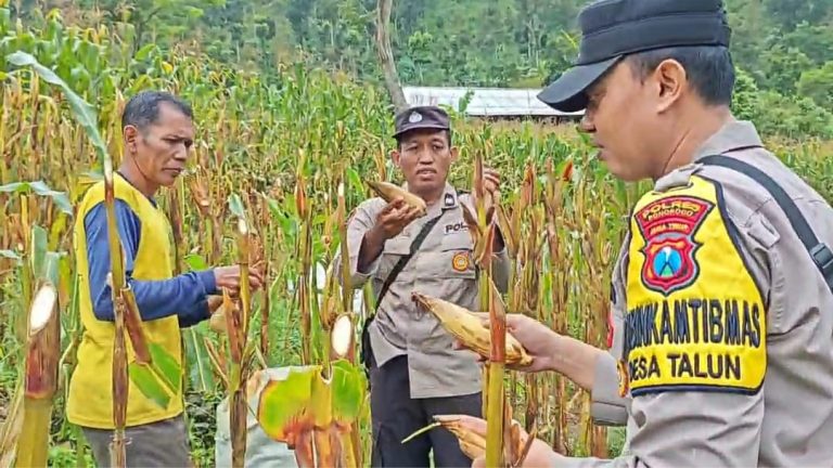 Polres Ponorogo Sahabat Petani, Dampingi Warga Wujudkan Swasembada Pangan