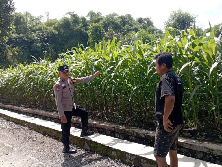 POLRES PONOROGO DUKUNG PROGRAM KETAHANAN PANGAN MENUJU SWASEMBADA PANGAN NASIONAL