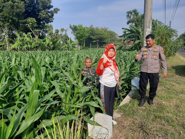Bhabinkamtibmas Desa Manuk Dampingi Warga Dukung Ketahanan Pangan Nasional