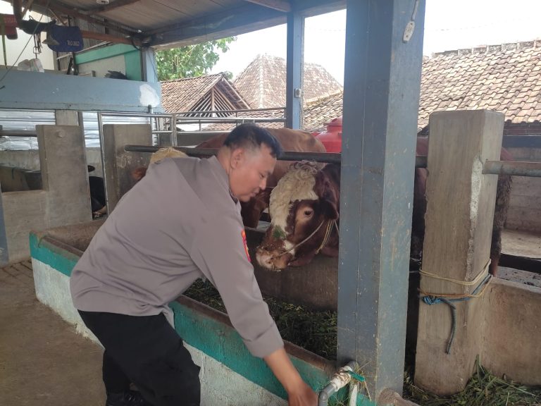 Polsek Slahung Laksanakan Sambang Pendampingan Petani Jagung Dalam Rangka Dukung Program Ketahanan Pangan