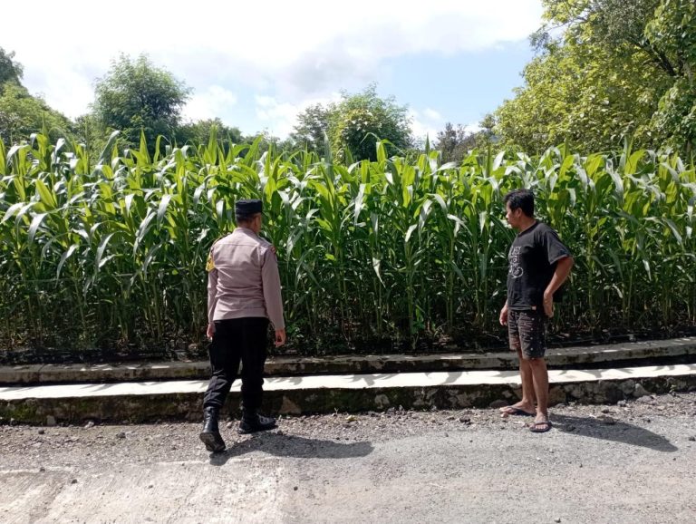 Bhabinkamtibmas Desa Grogol Dukung Ketahanan Pangan Melalui Sambang Warga