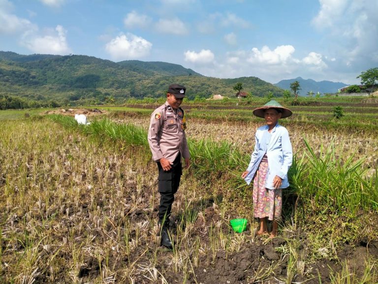 Bhabinkamtibmas Desa Nglurup Dorong Pemanfaatan Lahan Produktif Bersama Warga*