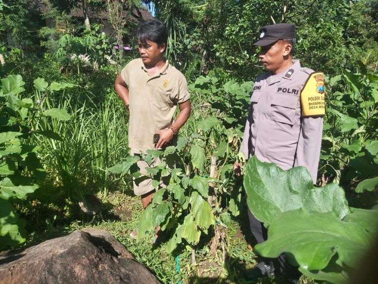 Bhabinkamtibmas Desa Menggare Laksanakan Monitoring Pekarangan Bergizi Dukung Ketahanan Pangan
