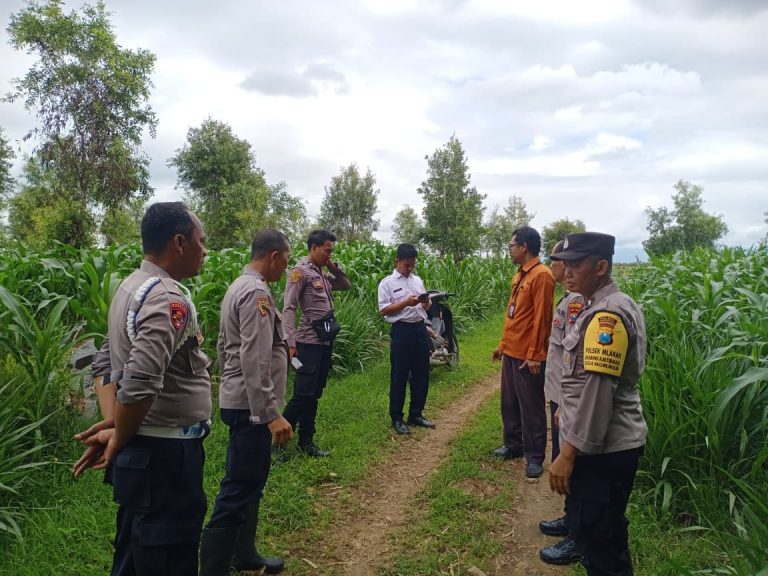 Bhabinkamtibmas Aktif Dampingi Petani, Dukung Program Ketahanan Pangan Nasional