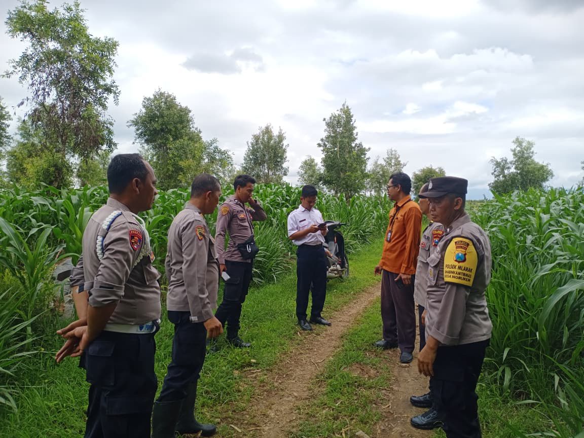Bhabinkamtibmas Aktif Dampingi Petani, Dukung Program Ketahanan Pangan Nasional