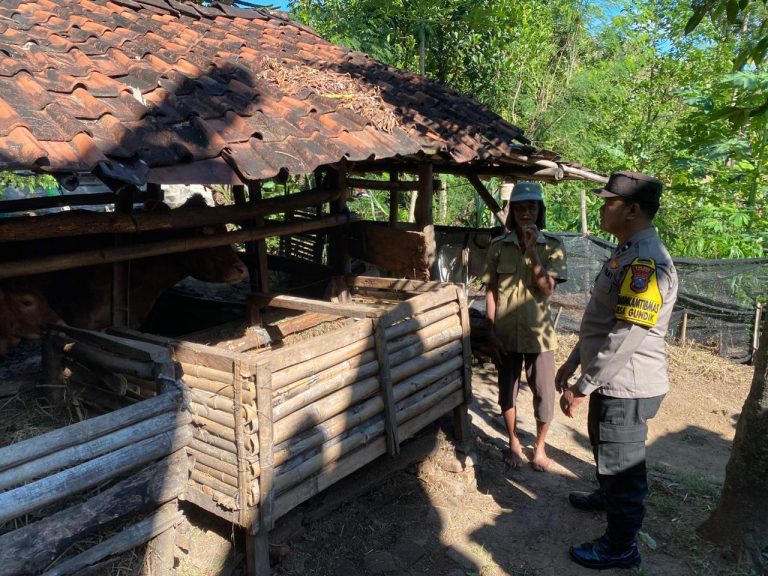 Bhabinkamtibmas Desa Gundik Polsek Slahung Sambangi Peternak Sapi dalam Mendukung Program Ketahanan Pangan