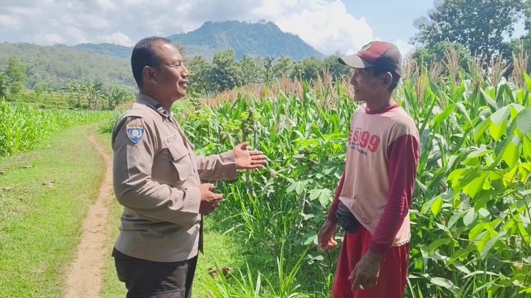 Bhabinkamtibmas Desa Broto Polsek Slahung Sambangi Sawah Warga Dukung Ketahanan Pangan