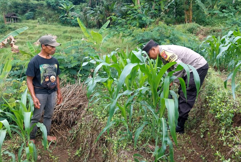 Polisi Monitoring Lahan Pertanian Warga Desa Ngrogung Dukung Ketahanan Pangan