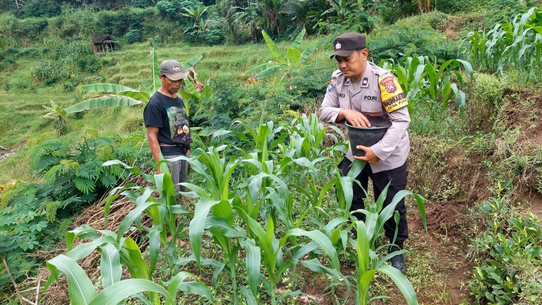 Polisi Monitoring Tanaman Jagung Warga Desa Ngrogung Dukung Ketahanan Pangan