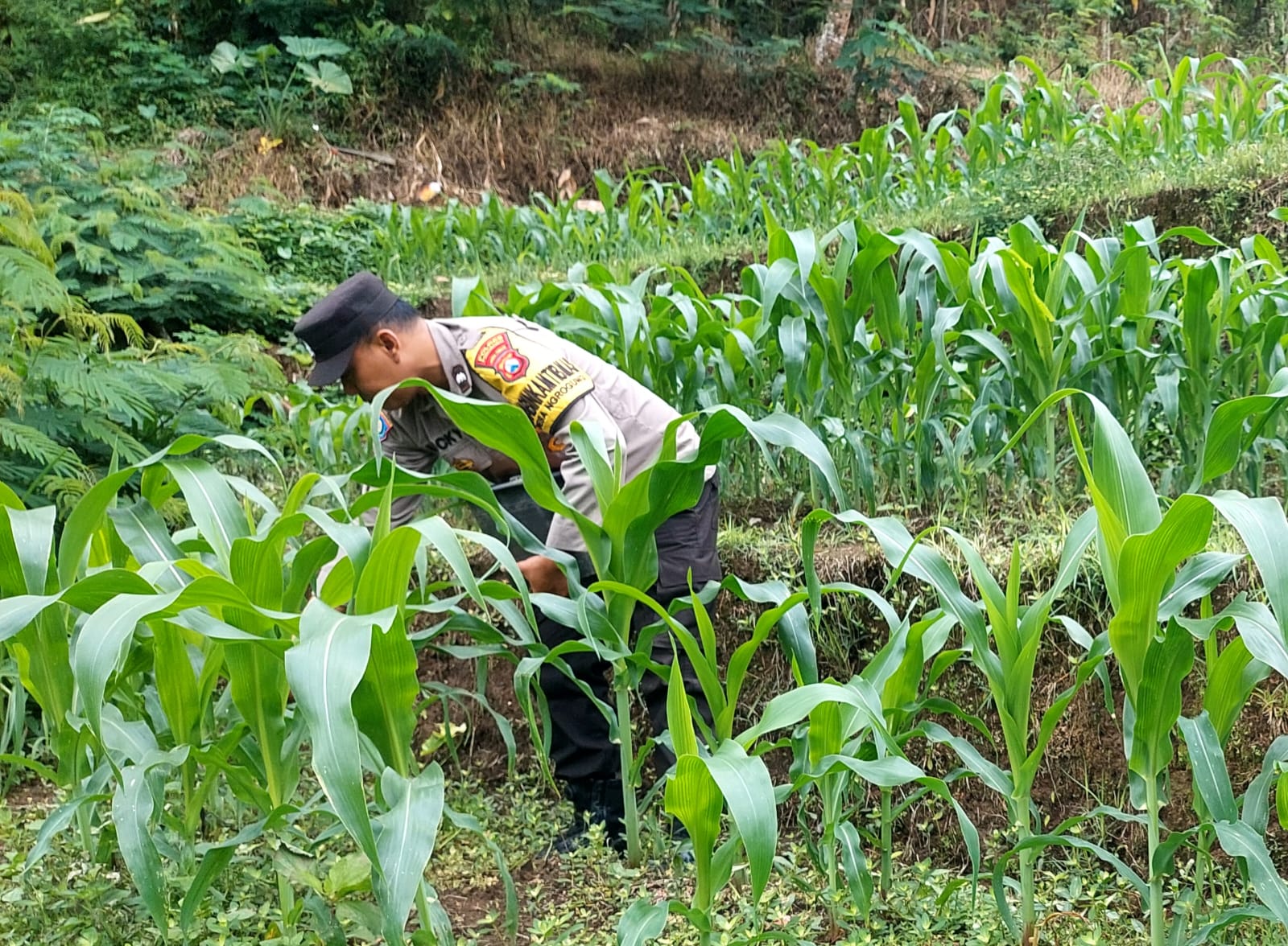 Sambangi Petani Desa Ngrogung, Bhabinkamtibmas Berikan Dukungan Pengelolaan Lahan Produktif