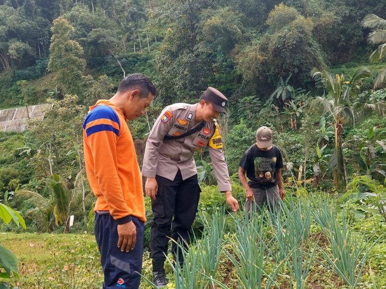 BHABINKAMTIBMAS DESA SAHANG MONITORING AKTIVITAS PETANI DI LAHAN PERTANIAN