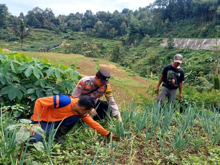 BHABINKAMTIBMAS DESA SAHANG MONITORING KEGIATAN GOTONG ROYONG WARGA