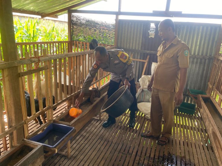 Bhabinkamtibmas Desa Nailan Dampingi Peternak Warga Dukung Program Ketahanan Pangan