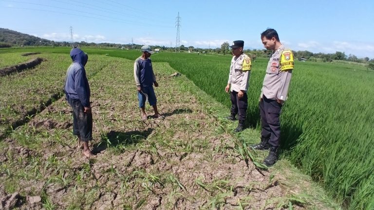 Bhabinkamtibmas Desa Pintu Dampingi Petani Dukung Ketahanan Pangan di Kecamatan Jenangan