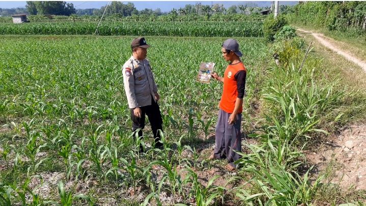 Bhabinkamtibmas Desa Simo Tinjau Lahan Pertanian Warga Dukung Ketahanan Pangan