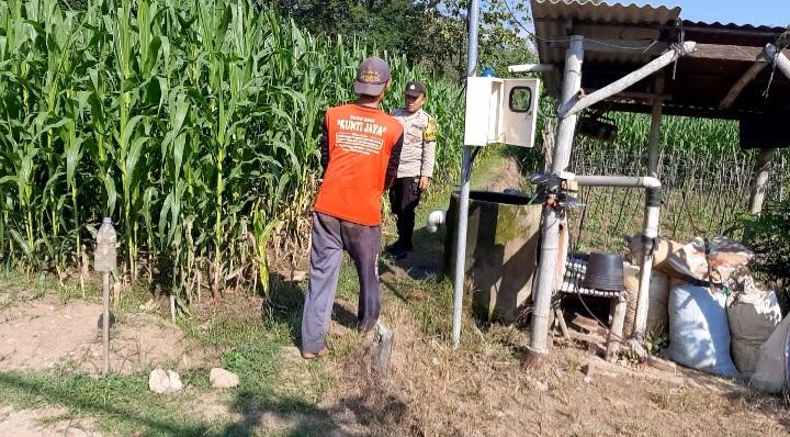 Bhabinkamtibmas Desa Simo Sambangi Sawah Warga, Dukung Ketahanan Pangan Nasional