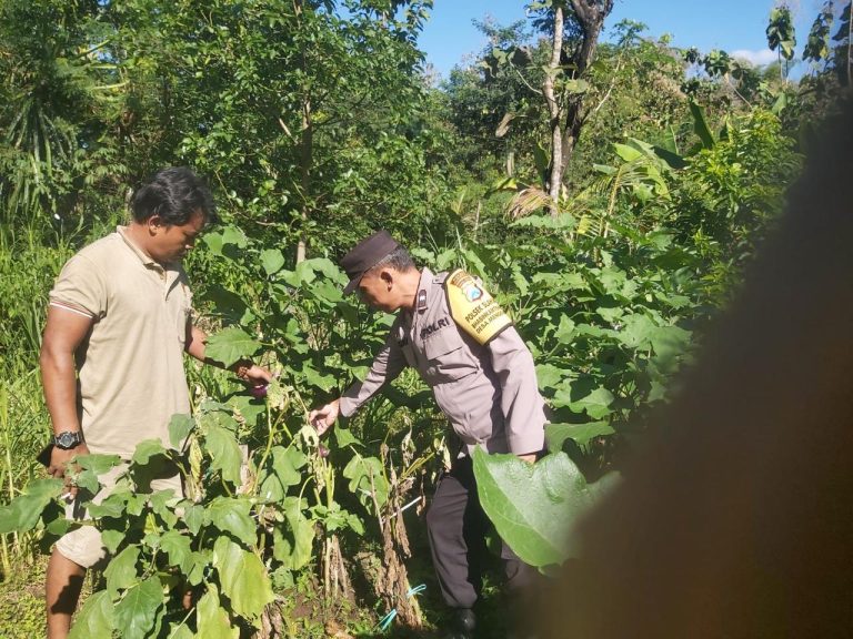 Bhabinkamtibmas Desa Menggare Laksanakan Monitoring Pekarangan Bergizi Dukung Ketahanan Pangan