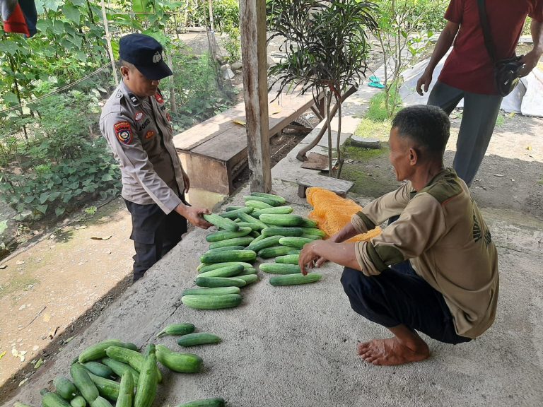 Bhabinkamtibmas Desa Grogol Tinjau Kebun Warga, Dukung Ketahanan Pangan Lokal