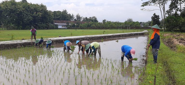Bhabinkamtibmas Desa Gombang Aktif Dampingi Warga Dukung Ketahanan Pangan