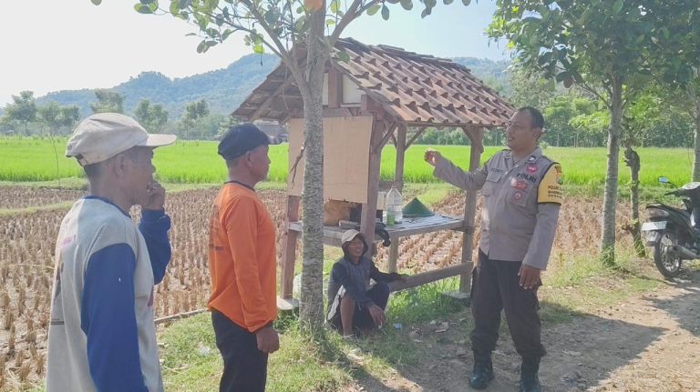 Bhabinkamtibmas Desa Broto Sambangi Petani Saat Panen Padi, Dukung Ketahanan Pangan