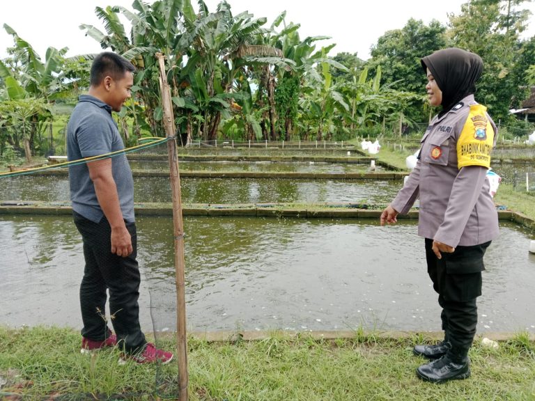 Bhabinkamtibmas Desa Somoroto Sambangi Peternak Ikan Nila, Dukung Ketahanan Pangan Nasional