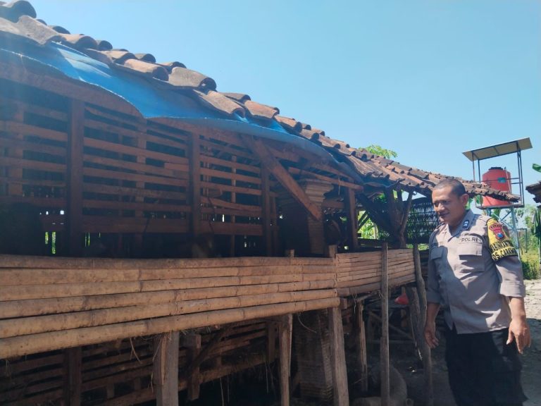 Bhabinkamtibmas Desa Carangrejo Dukung Peternak Kambing untuk Perkuat Ketahanan Pangan Hewani