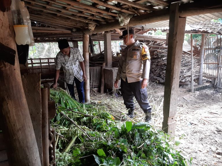 Polsek Slahung Patroli Sambang Di Peternakan Kambing Dalam Rangka Dukung Program Ketahanan Pangan