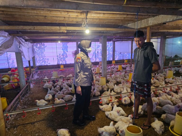 Polres Ponorogo, Bhabinkamtibmas Polsek Jenangan Dukung Ketahanan Pangan, Dan ikut berikan dukungan kepada peternak Ayam di Kelurahan Setono