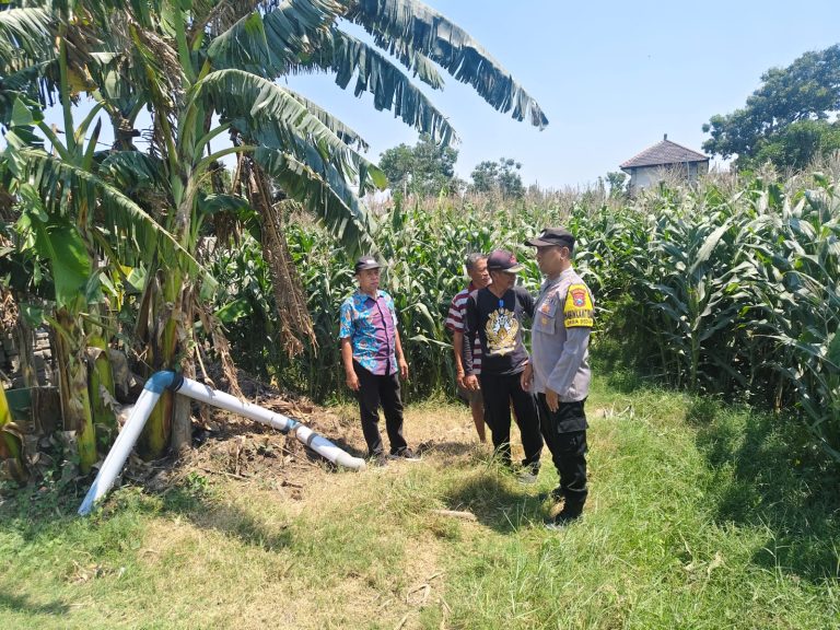 Polres Ponorogo Dukung Ketahanan Pangan, Polsek Sukorejo Dampingi Petani Dalam Pengelolaan Lahan Pertanian Jagung